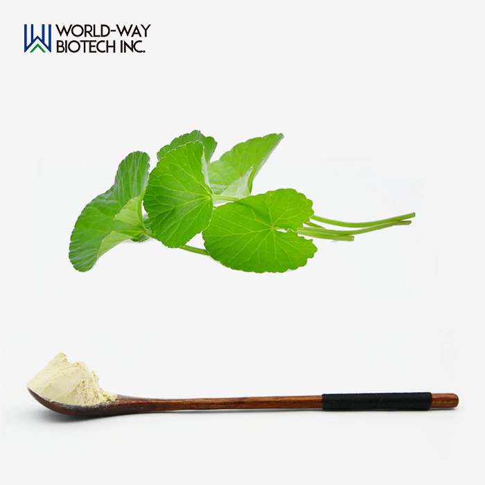 Centella Asiatica Extract Centella Asiatica Extract